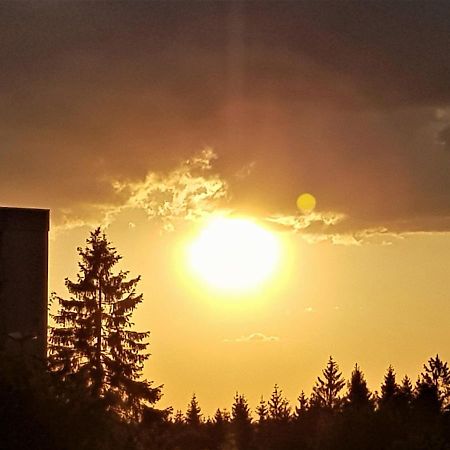 Grossdorf Appartement En Vogue Im Hahnenklee, Harz جوسلار المظهر الخارجي الصورة