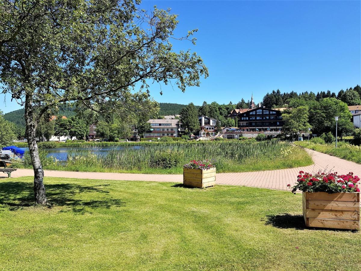 Grossdorf Appartement En Vogue Im Hahnenklee, Harz جوسلار المظهر الخارجي الصورة