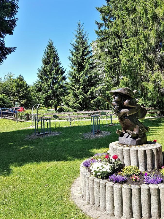 Grossdorf Appartement En Vogue Im Hahnenklee, Harz جوسلار المظهر الخارجي الصورة